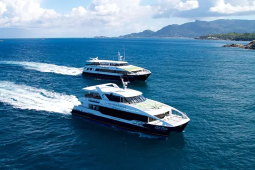 Seyferry Image